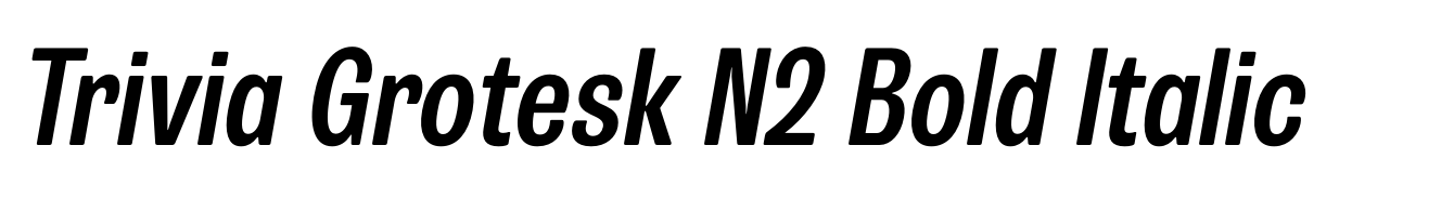 Trivia Grotesk N2 Bold Italic